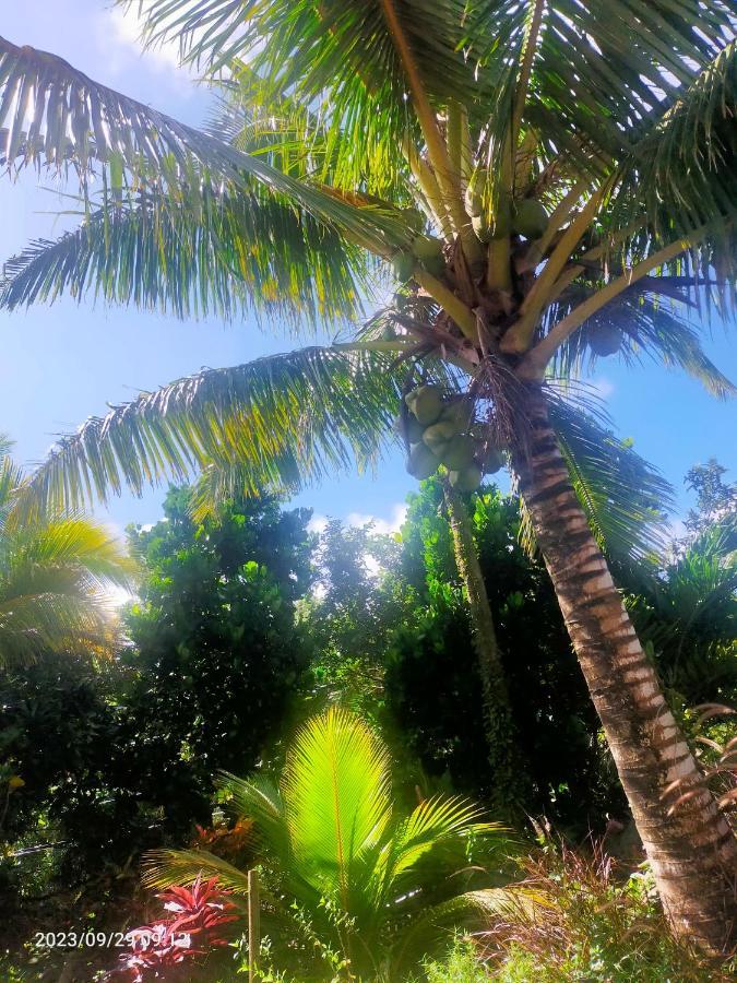 Douceur Des Hauteurs Bas De Villa, Piscine Privee Sainte-Luce Exterior foto